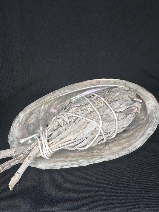 Abalone Shell Bowl