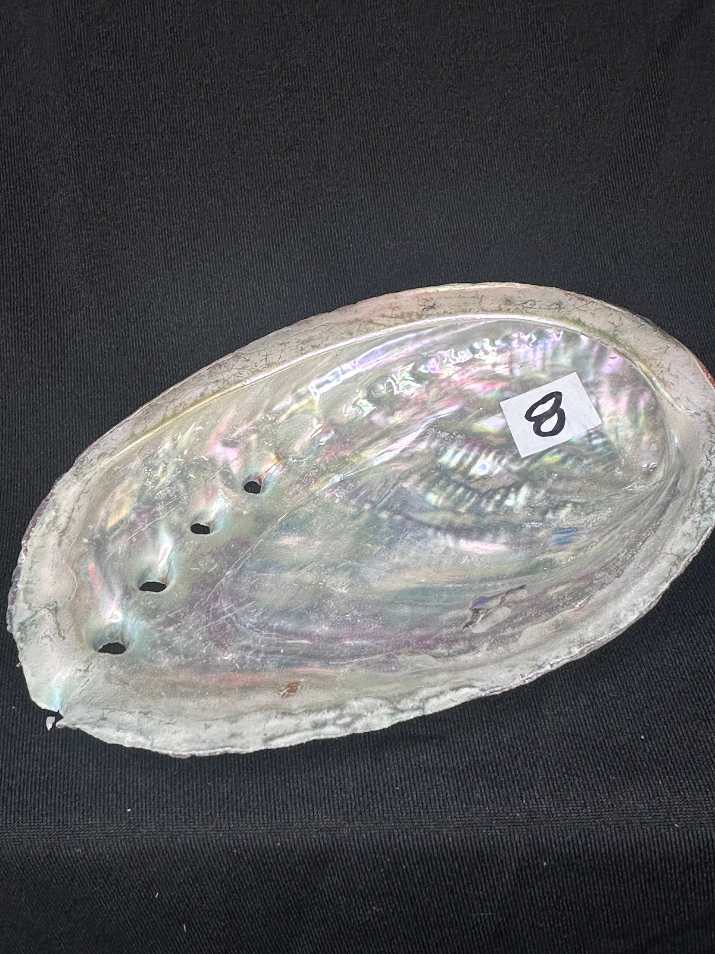 Abalone Shell Bowl